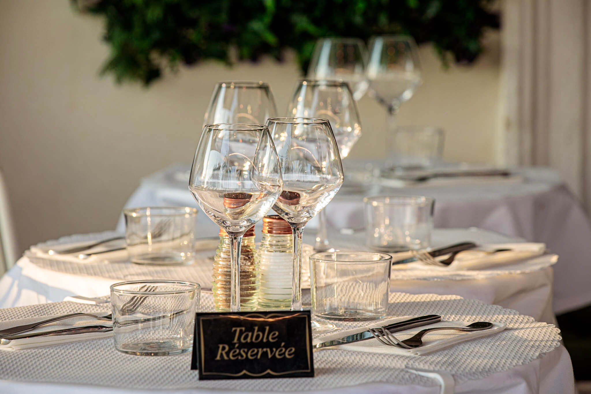 15-20250822-5D4_4206